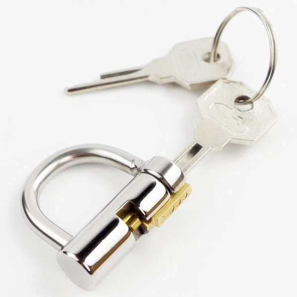 Stainless Steel PA Lock - Prince Albert Locked chastity Piercing Online now - Image 4