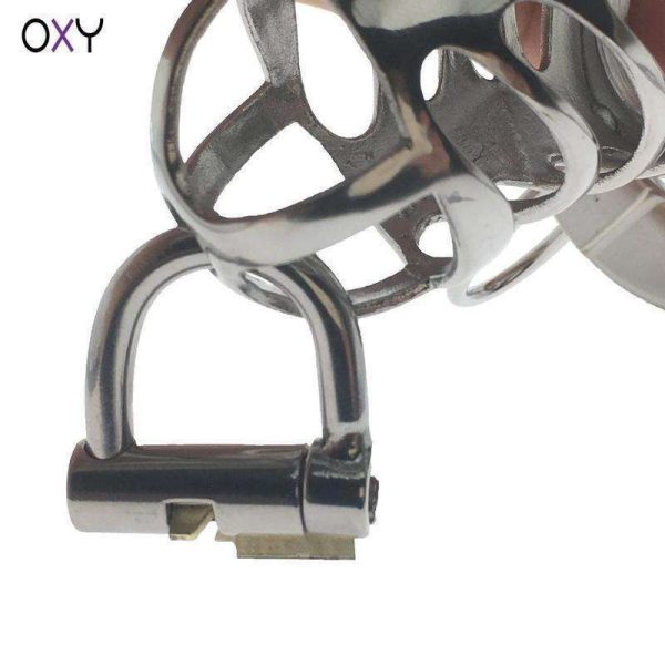 Stainless Steel PA Lock - Prince Albert Locked chastity Piercing Online now - Image 5