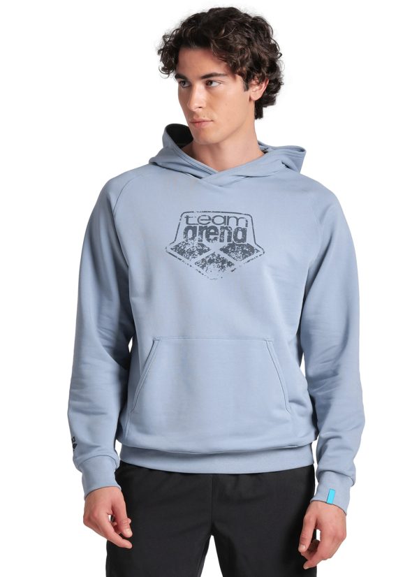 Arena Unisex Logo Hoodie For Sale